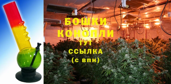 ПСИЛОЦИБИНОВЫЕ ГРИБЫ Абаза