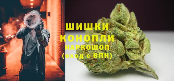 ПСИЛОЦИБИНОВЫЕ ГРИБЫ Абаза